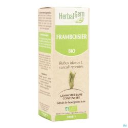 Herbalgem Framboisier Macerat 50ml