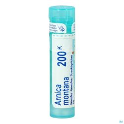 Arnica Montana 200k Gr 4g Boiron